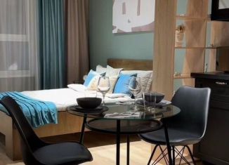 Сдаю в аренду квартиру студию, 27 м2, Краснодар, микрорайон Черемушки, улица Селезнёва, 4/15к2