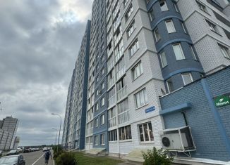 Аренда помещения свободного назначения, 37.9 м2, Тверь, улица Левитана, 58к1