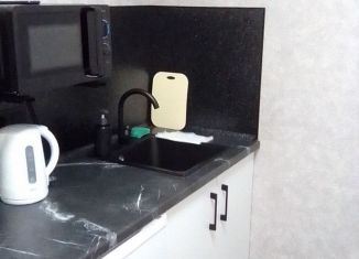 Сдача в аренду 1-ком. квартиры, 23.5 м2, Татарстан, улица Вишневского, 14