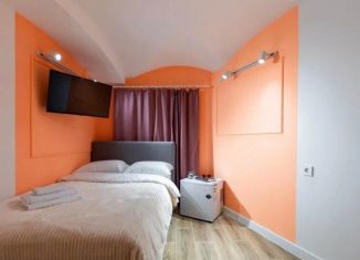 Сдается в аренду квартира студия, 15 м2, Санкт-Петербург, набережная реки Фонтанки, 189