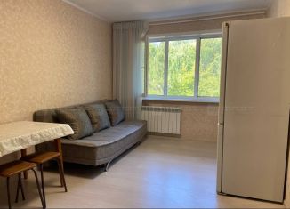 Сдача в аренду 1-комнатной квартиры, 31 м2, Татарстан, улица Шамиля Усманова, 17