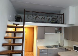 Квартира в аренду студия, 21 м2, Санкт-Петербург, проспект Обуховской Обороны, 23