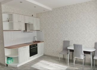 Продажа квартиры студии, 23.9 м2, Санкт-Петербург, Заводская улица, 15, метро Рыбацкое