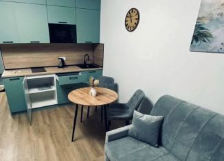 Сдается квартира студия, 23.9 м2, Томск, Учебная улица, 40, Кировский район