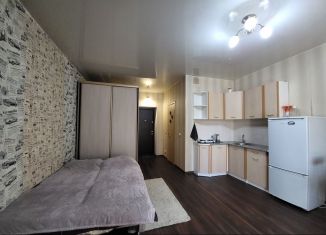 Квартира на продажу студия, 26.2 м2, Благовещенск, Рабочая улица, 52