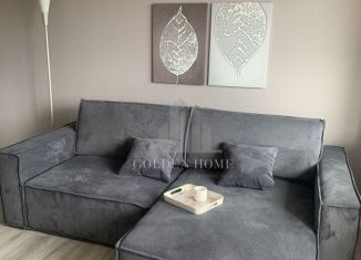 1-комнатная квартира в аренду, 37 м2, Санкт-Петербург, Карташихина улица, 15