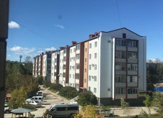 Сдача в аренду квартиры студии, 18 м2, Еврейская АО, улица Миллера, 18к1