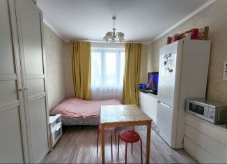 Продажа квартиры студии, 20 м2, Москва, улица Лавриненко, 5, метро Некрасовка