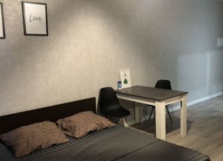 Аренда квартиры студии, 27 м2, Республика Башкортостан, улица Генерала Кусимова