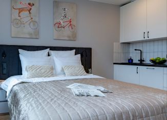 Сдаю в аренду квартиру студию, 22 м2, Санкт-Петербург, проспект Энергетиков, 2к2