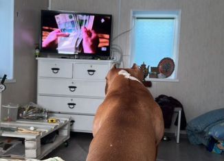 Продам дом, 40 м2, Березники, Рейдовая улица, 31