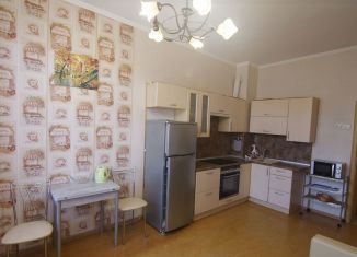 Сдаю в аренду 1-комнатную квартиру, 41 м2, Пушкин, улица Глинки, 16/8