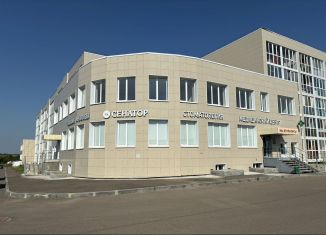 Продажа помещения свободного назначения, 374 м2, деревня Куюки, Молодёжная улица, 29