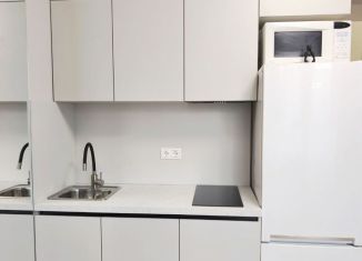 Сдам в аренду квартиру студию, 18 м2, Москва, ЮВАО, улица Недорубова, 20к1