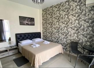 Сдам в аренду однокомнатную квартиру, 24 м2, Сириус, переулок Кувшинок, 7/1