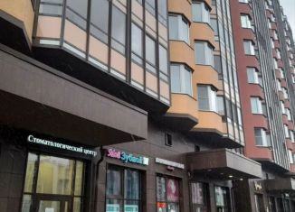 Продажа квартиры студии, 24.5 м2, Санкт-Петербург, Красносельский район, улица Лётчика Лихолетова