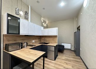 Сдача в аренду квартиры студии, 32 м2, Санкт-Петербург, Боровая улица, 34/24