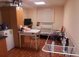 Квартира в аренду студия, 21 м2, Санкт-Петербург, Рыбацкий проспект, 39