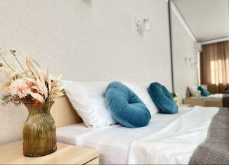 1-ком. квартира в аренду, 49 м2, Республика Башкортостан, улица Рудольфа Нуреева, 5