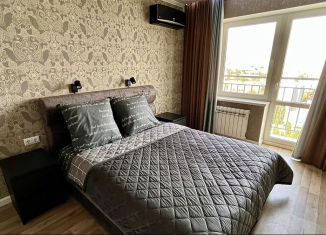 Аренда однокомнатной квартиры, 48 м2, Саратов, улица имени Н.Г. Чернышевского, 52Б