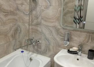 Сдам в аренду квартиру студию, 25 м2, Татарстан, Вторая Ударная улица, 4