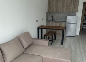Продам квартиру студию, 23.8 м2, Санкт-Петербург, Пулковское шоссе, 95к4, Пулковское шоссе