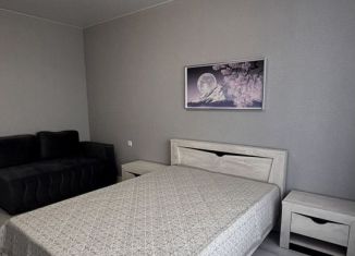 Однокомнатная квартира в аренду, 38 м2, Азов, Красногоровская улица, 19Ак2