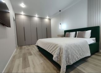 Сдаю в аренду 1-ком. квартиру, 50 м2, Сочи, переулок Трунова, микрорайон Завокзальный