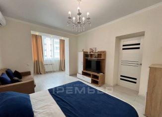 Сдаю в аренду однокомнатную квартиру, 44 м2, Пятигорск, Оранжерейная улица, 17к4