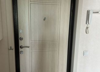 Сдаю в аренду 1-ком. квартиру, 35 м2, Бор, улица 3-й Микрорайон, 5