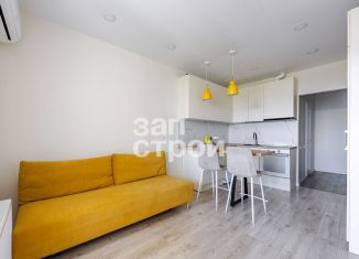 Квартира на продажу студия, 23 м2, Санкт-Петербург, Заводская улица, 17, муниципальный округ Рыбацкое