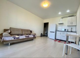 Сдается квартира студия, 34 м2, Татарстан, улица Ярышлар, 6