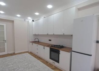 Однокомнатная квартира в аренду, 44 м2, Санкт-Петербург, Гатчинская улица, 31-33