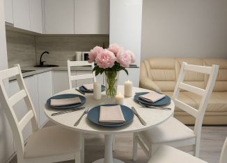 Продается таунхаус, 44 м2, деревня Старые Киешки, Башкирская улица