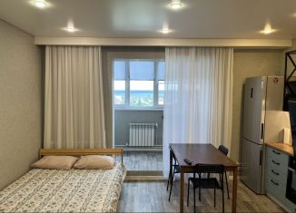 Квартира на продажу студия, 28 м2, Чебаркуль, улица 9 Мая, 27