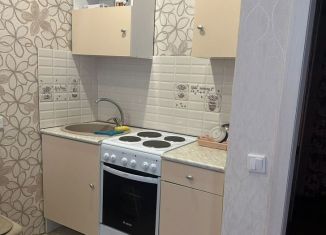 Квартира в аренду студия, 27 м2, Республика Башкортостан, улица Октябрьской Революции, 31А