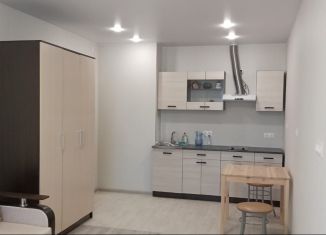 Квартира на продажу студия, 26.7 м2, Мурино, Ручьёвский проспект, 2, ЖК Авиатор