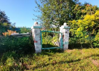 Продам дом, 40 м2, деревня Замелкишна