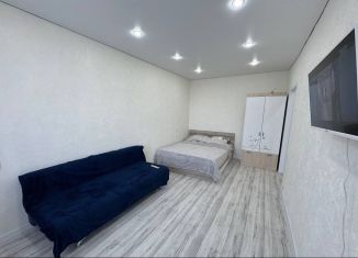 Сдам в аренду однокомнатную квартиру, 31 м2, Республика Башкортостан, Советская улица, 4
