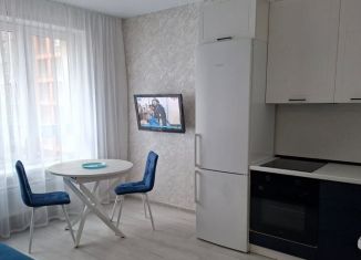 Аренда однокомнатной квартиры, 34 м2, Республика Башкортостан, улица Рудольфа Нуреева, 7