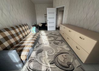 Аренда однокомнатной квартиры, 40 м2, деревня Куюки, Балтийская улица, 1