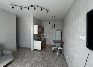 Сдача в аренду 2-комнатной квартиры, 39 м2, Республика Башкортостан, улица Асхата Мирзагитова, 8