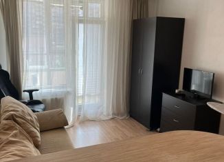 Продам квартиру студию, 24 м2, Санкт-Петербург, Кондратьевский проспект, 64к9, ЖК Атланта-2