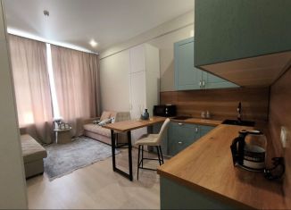 Сдается квартира студия, 23.2 м2, Люберцы, Октябрьский проспект, 403к12