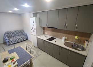 Сдаю в аренду 1-комнатную квартиру, 36 м2, Сочи, улица Калинина, 39, микрорайон Черемушки