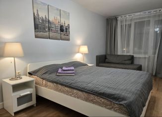 Сдается в аренду 1-ком. квартира, 30 м2, Москва, Нижняя улица, 11, САО