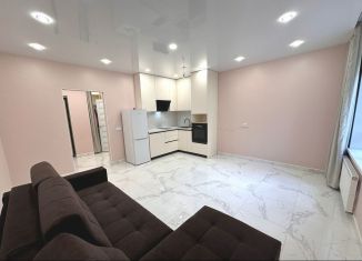 Сдача в аренду квартиры студии, 31 м2, Новосибирск, улица Немировича-Данченко, 167/2, ЖК Расцветай на Маркса