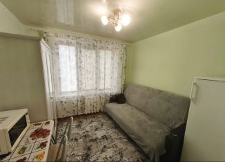 Сдача в аренду квартиры студии, 13.5 м2, Москва, 9-я Парковая улица, 66к1, ВАО