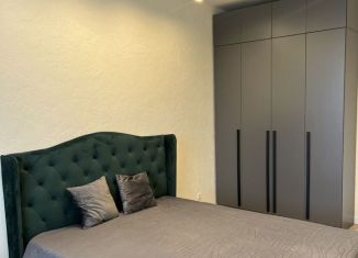 Сдается в аренду 1-комнатная квартира, 40 м2, Калининград, улица Куйбышева, 84