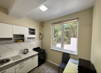 Сдаю в аренду однокомнатную квартиру, 36 м2, Сочи, переулок Чехова, 6Д, микрорайон Донская